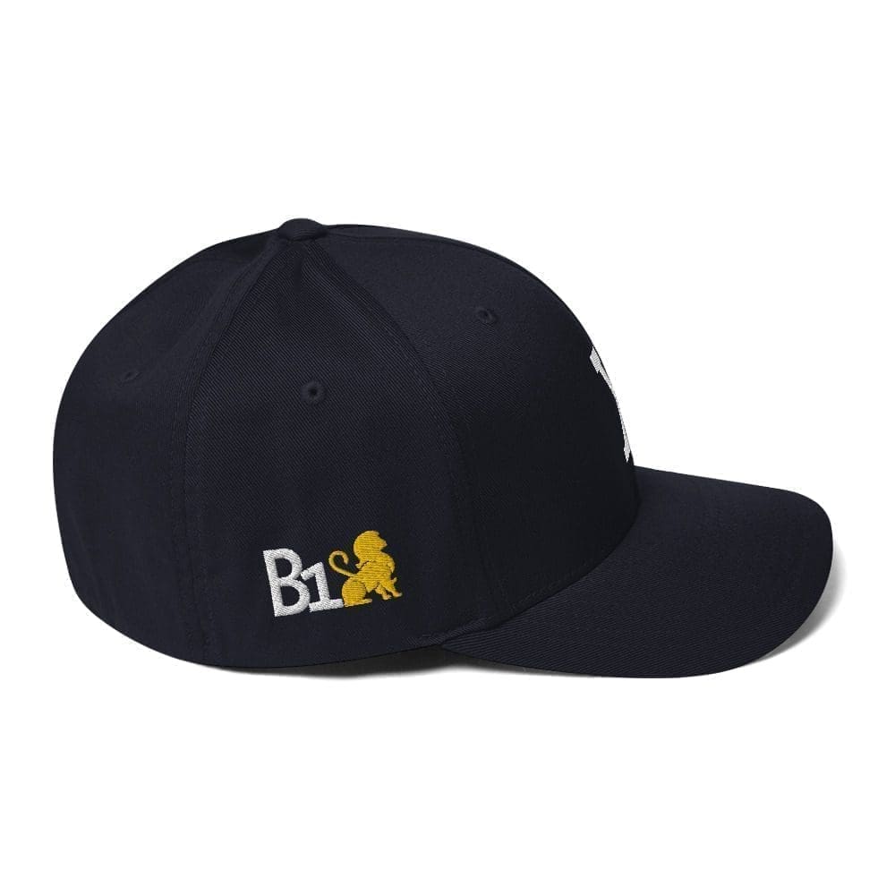 Malcolm X Retro Structured Twill Cap - Image 4
